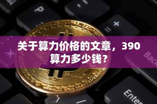 关于算力价格的文章，390算力多少钱？