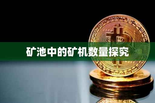 矿池中的矿机数量探究