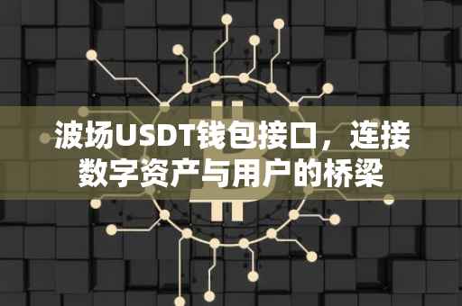 波场USDT钱包接口，连接数字资产与用户的桥梁