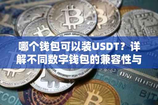 哪个钱包可以装USDT？详解不同数字钱包的兼容性与安全性