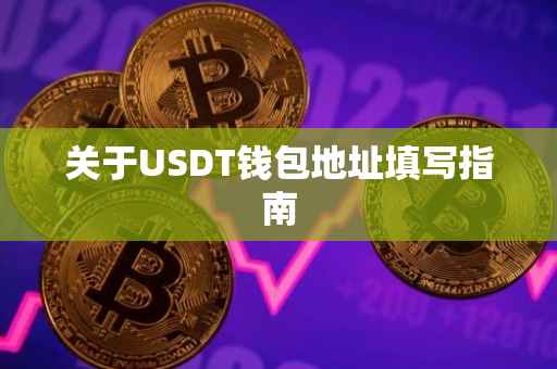 关于USDT钱包地址填写指南