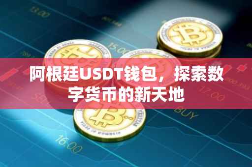 阿根廷USDT钱包，探索数字货币的新天地