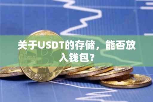 关于USDT的存储，能否放入钱包？