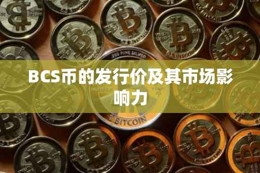 BCS币的发行价及其市场影响力
