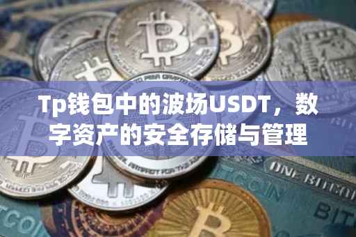 Tp钱包中的波场USDT，数字资产的安全存储与管理