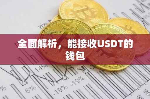 全面解析，能接收USDT的钱包
