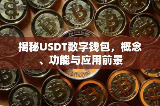 揭秘USDT数字钱包，概念、功能与应用前景