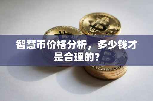 智慧币价格分析，多少钱才是合理的？