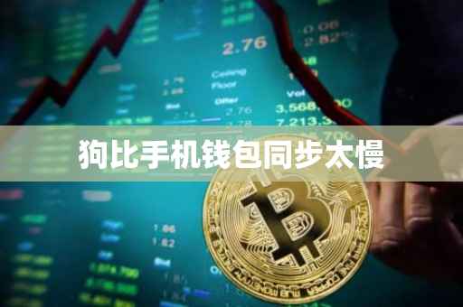 狗比手机钱包同步太慢