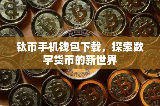 钛币手机钱包下载，探索数字货币的新世界