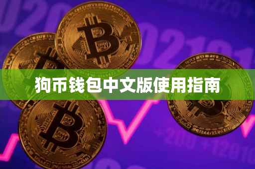 狗币钱包中文版使用指南