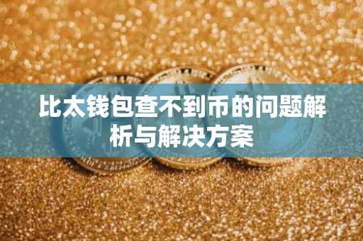 比太钱包查不到币的问题解析与解决方案