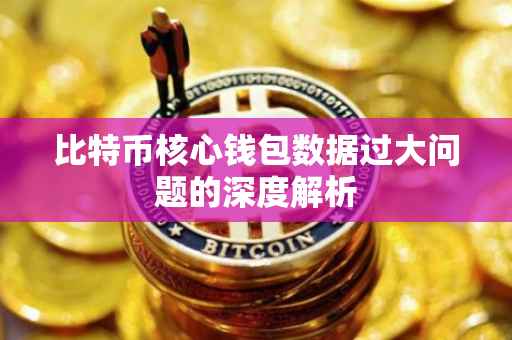 比特币核心钱包数据过大问题的深度解析