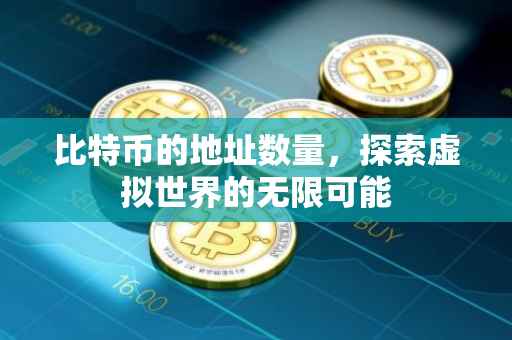 比特币的地址数量，探索虚拟世界的无限可能