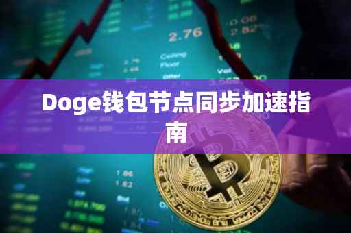 Doge钱包节点同步加速指南