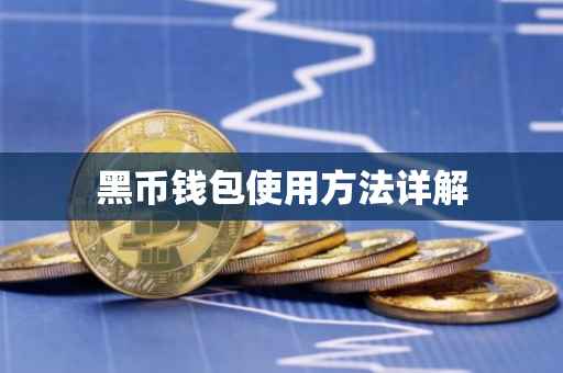 黑币钱包使用方法详解
