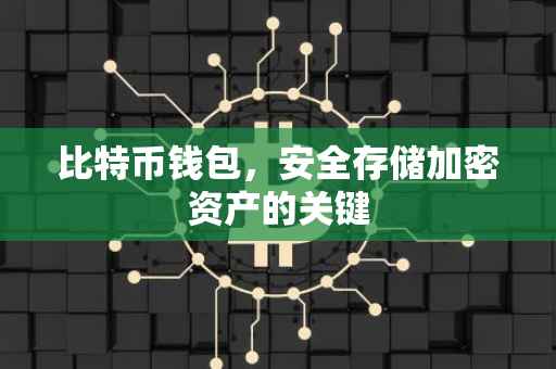 比特币钱包，安全存储加密资产的关键