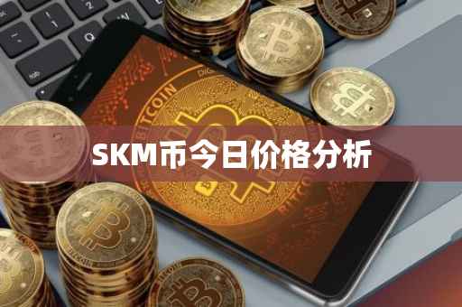SKM币今日价格分析