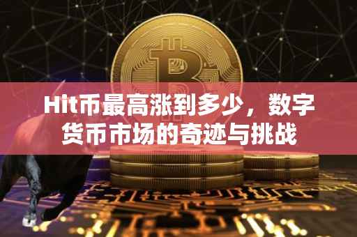 Hit币最高涨到多少，数字货币市场的奇迹与挑战