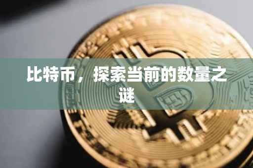 比特币，探索当前的数量之谜