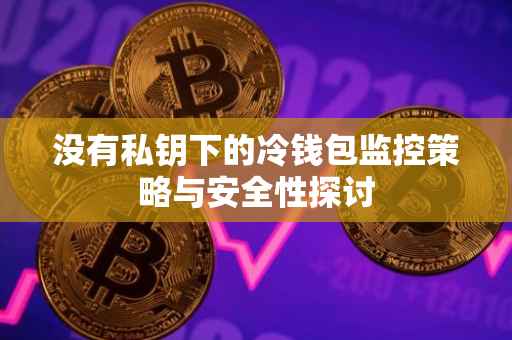 没有私钥下的冷钱包监控策略与安全性探讨