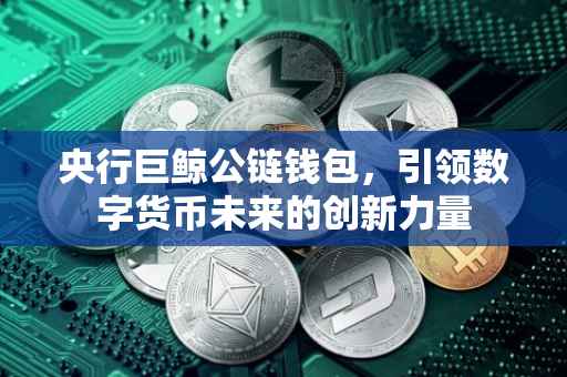 央行巨鲸公链钱包，引领数字货币未来的创新力量