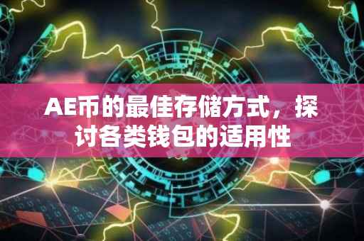 AE币的最佳存储方式，探讨各类钱包的适用性