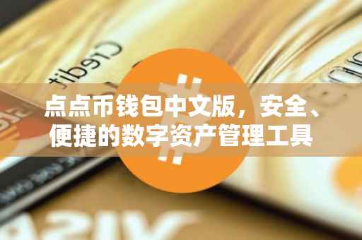 点点币钱包中文版，安全、便捷的数字资产管理工具