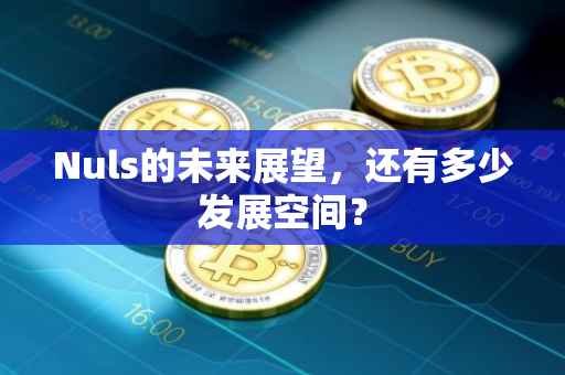 Nuls的未来展望，还有多少发展空间？