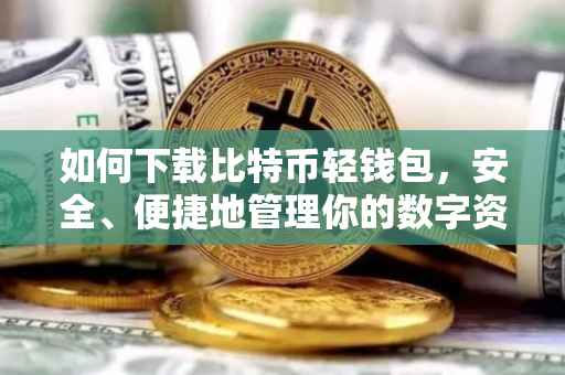 如何下载比特币轻钱包，安全、便捷地管理你的数字资产