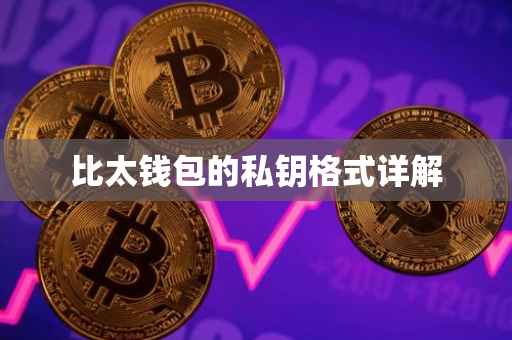 比太钱包的私钥格式详解