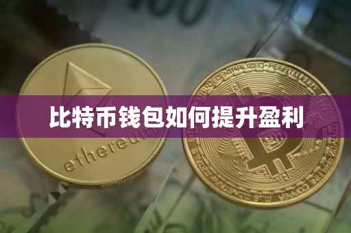 比特币钱包如何提升盈利