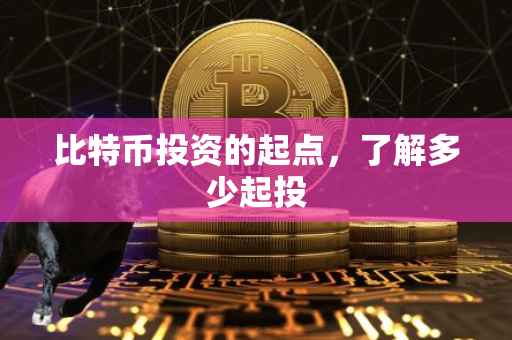 比特币投资的起点，了解多少起投