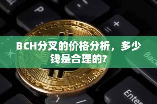 BCH分叉的价格分析，多少钱是合理的?
