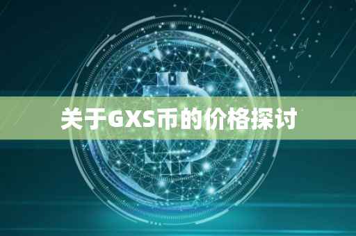 关于GXS币的价格探讨