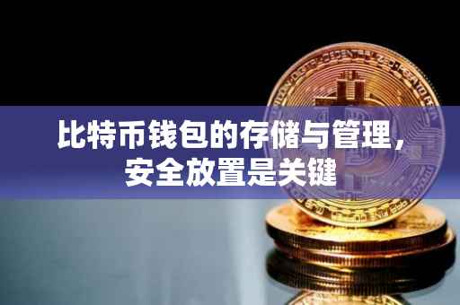 比特币钱包的存储与管理，安全放置是关键