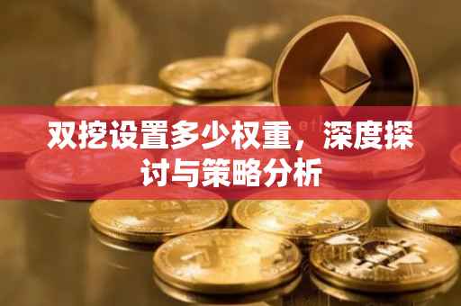 双挖设置多少权重，深度探讨与策略分析