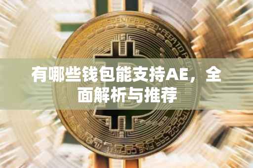 有哪些钱包能支持AE，全面解析与推荐
