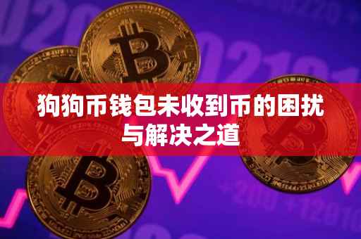 狗狗币钱包未收到币的困扰与解决之道