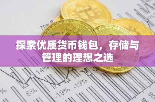 探索优质货币钱包，存储与管理的理想之选