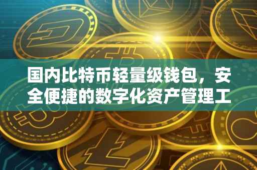 国内比特币轻量级钱包，安全便捷的数字化资产管理工具