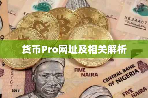 货币Pro网址及相关解析