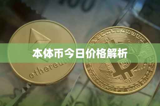本体币今日价格解析