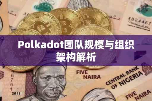 Polkadot团队规模与组织架构解析