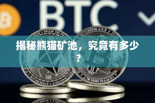 揭秘熊猫矿池，究竟有多少？