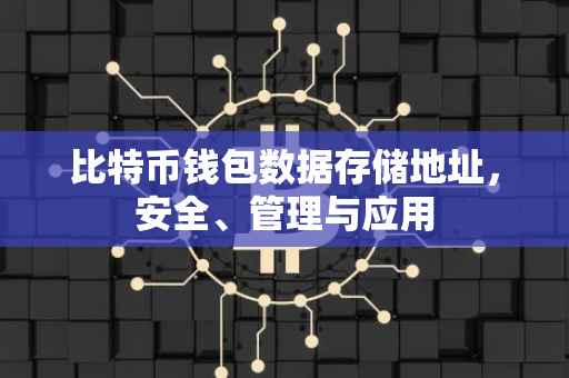 比特币钱包数据存储地址，安全、管理与应用