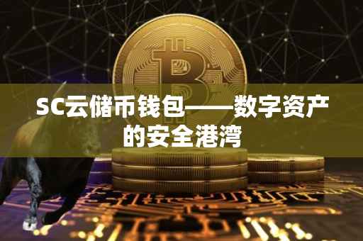 SC云储币钱包——数字资产的安全港湾
