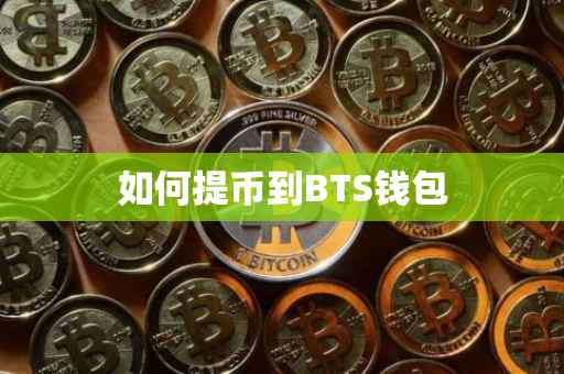 如何提币到BTS钱包