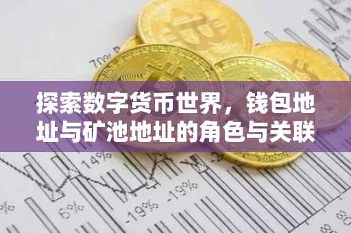 探索数字货币世界，钱包地址与矿池地址的角色与关联