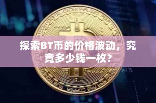 探索BT币的价格波动，究竟多少钱一枚？